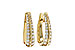 A311-21259: EARRINGS 1.00 TW