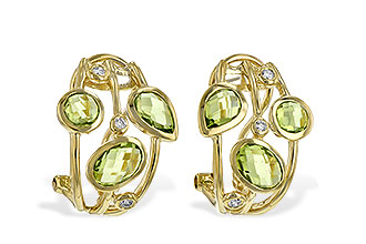 B225-76704: EARR 2.76 PERIDOT 2.83 TGW