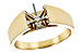 C309-43086: LDS SEMI RG