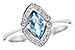 E309-41240: LDS RG .43 AQUA .57 TGW