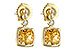 F225-77585: EARR 1.66 CITRINE 1.70 TGW