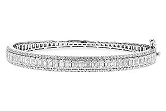 F310-28522: BANGLE 4.19 E.C. 5.30 TW