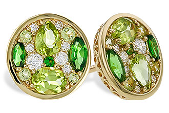 F311-22113: EARR 1.03 TW SEMI-PRECIOUS (TSAV, PER) 1.19 TGW