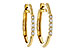 F311-23067: EARRINGS .11 TW