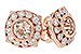 G224-85749: EARR .75 MORGANITE .98 TGW
