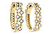 G226-70313: EARR .15 TW