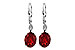 H226-72103: EARR 3.45 TW GARNET 3.50 TGW (9x7MM GAR)