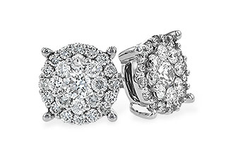 K225-80331: EARR 1.00 TW