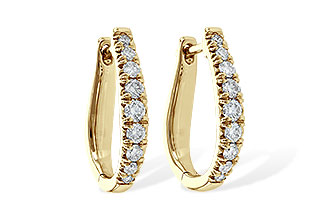 L226-66703: EARR .50 TW