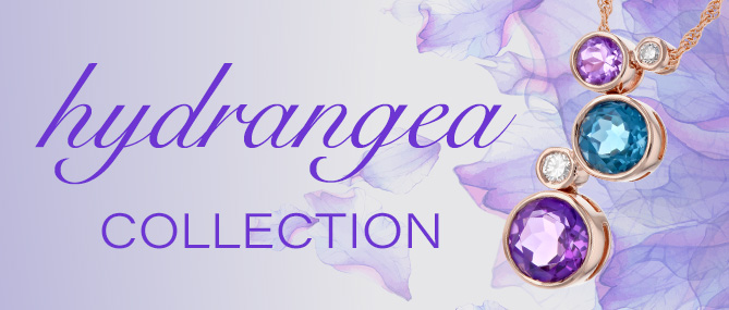 Hydrangea Collection